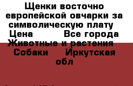 Щенки восточно европейской овчарки за символическую плату › Цена ­ 250 - Все города Животные и растения » Собаки   . Иркутская обл.